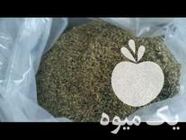 فروش آویشن بنفشه گل گاوزبان بابونه بهارنارنج به دانه در رحیم آباد در گروه خرید فروش عمده گیاهان زینتی - گرمسیری آپارتمانی باغچه آب در یکمیوه -عکس1