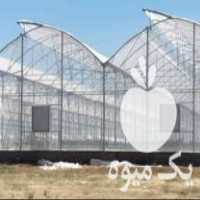 فروش سازه گلخانه اسپانیایی در تهران در گروه سازنده - گلخانه باغ مدرن سالن صنعتی سوله انبار در یکمیوه
