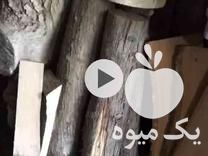 فروش چوب جنگلی و باغی در چالوس در گروه خرید فروش عمده چوب- زغال چوب گردو تبریزی خام در یکمیوه -عکس1