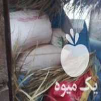 فروش بذر گندم چمران دو رودبار در جیرفت در گروه خرید فروش بذر - انواع محصول کشاورزی گوجه کتان میوه درخت در یکمیوه