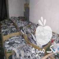 فروش عرضه مستقیم زغال پسته در تهران در گروه خرید فروش عمده چوب- زغال چوب گردو تبریزی خام در یکمیوه