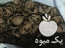 فروش پوست گردو و بادام و هسته زردآلو و پسته در خسروشهر در گروه بادام - درختی کوهی زمینی فروش عمده در یکمیوه -عکس1