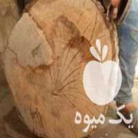 فروش چوب خشک گردو و کاج در اسلامشهر در گروه خرید فروش عمده چوب- زغال چوب گردو تبریزی خام در یکمیوه