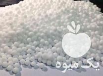 فروش علافی سهند در میانه در گروه خرید فروش بذر - انواع محصول کشاورزی گوجه کتان میوه درخت در یکمیوه -عکس1