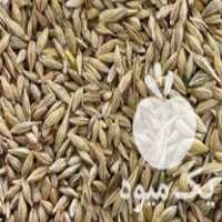 خرید سویا جو گندم ذرت سبوس برنج سبوس گندم در میانه در گروه خرید فروش عمده برنج - نیم دانه عنبر بو هاشمی کاظمی هندی پاکستانی در یکمیوه