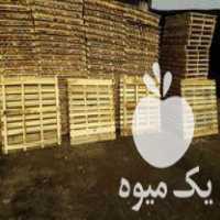 خرید و فروش عمده پالت چوبی و تخته پالت و چوب در مراغه در گروه خرید فروش عمده چوب- زغال چوب گردو تبریزی خام در یکمیوه