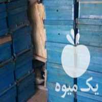 فروش جعبه کندوی زنبورعسل و طبق در زنجان در گروه زنبورعسل - زنبورداری نوین صنعتی مدرن کندو در یکمیوه