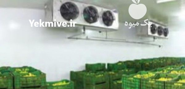 فروش نگهداری میوه در سردخانه صنعتی قزوین در گروه اجاره سردخانه - محصولات کشاورزی میوه صنعتی تنی در یکمیوه -عکس1