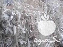 فروش پوشال کاغذی جهت بسته بندی میوه و قطعات در تهران در گروه خرید فروش انواع بسته بندی کاغذی - کارتن مقوا در یکمیوه -عکس1