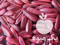 فروش بذر کدو گوشتی خارجی و ایرانی در همدان در گروه خرید فروش عمده آفتابگردان - تخمه خوی دیم گل در یکمیوه -عکس1
