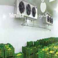 فروش نگهداری میوه در سردخانه صنعتی قزوین در گروه اجاره سردخانه - محصولات کشاورزی میوه صنعتی تنی در یکمیوه