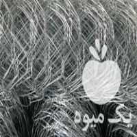 فروش فنس گابیون سیم خاردار پایه فنس فلزی بتونی در لاهیجان در گروه خرید فروش عمده کیوی - صادراتی مازندران تنکابن تالش در یکمیوه