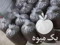 فروش خاک بستر و گل های اپارتمانی و گیاهان دارویی در بهشهر در گروه خرید فروش کود و مواد شیمیایی - اوره پتاس مرغی کمپوست آهن در یکمیوه -عکس1
