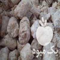 فروش سویا خوراکی دام در قائم شهر در گروه خرید فروش عمده سویا - خوراکی تیم اسپانیول روغن در یکمیوه