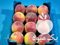 فروش سبد میوه در جویبار در گروه خرید فروش انواع سبد - میوه پلاستیکی چوبی گل در یکمیوه -عکس1