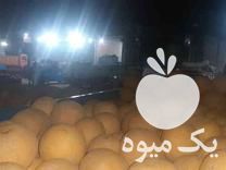 فروش صادرات محصولات کشاورزی در پیرانشهر در گروه حق العمل کاری محصولات کشاورزی و دامداری خدمات کارمزد در یکمیوه -عکس1