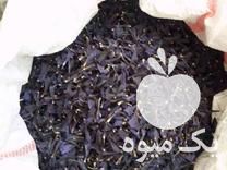 فروش گل گاوزبان وگل بنفشه درجه یک در تهران در گروه خرید فروش عمده گیاهان زینتی - گرمسیری آپارتمانی باغچه آب در یکمیوه -عکس1