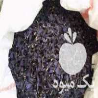 فروش گل گاوزبان وگل بنفشه درجه یک در تهران در گروه خرید فروش عمده گیاهان زینتی - گرمسیری آپارتمانی باغچه آب در یکمیوه