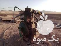 فروش موتور اب مارگو در همدان در گروه اسب و الاغ خر و فروش قاطر- ترکمن عربی سفید نر و ماده در یکمیوه -عکس1