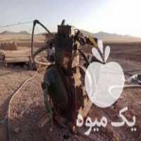 فروش موتور اب مارگو در همدان در گروه اسب و الاغ خر و فروش قاطر- ترکمن عربی سفید نر و ماده در یکمیوه