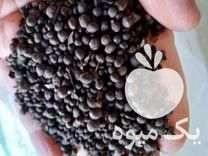 فروش کود کامل الی گرانوله در کرمانشاه در گروه خرید فروش کود و مواد شیمیایی - اوره پتاس مرغی کمپوست آهن در یکمیوه -عکس1