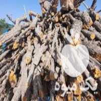 فروش چوب خشک درهر نمونه ای در سرایان در گروه خرید فروش عمده چوب- زغال چوب گردو تبریزی خام در یکمیوه