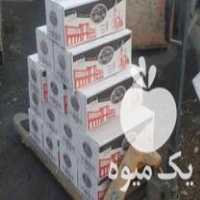 فروش زغال فشرده نقش جهان  بامبو در اصفهان در گروه خرید فروش عمده چوب- زغال چوب گردو تبریزی خام در یکمیوه