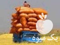 فروش کاه خورد گندم قیمت عالی خوراک دام در ساری در گروه خوراک دام و طیور - پرواری شیری علوفه یونجه در یکمیوه -عکس1