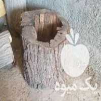 خریدار چوب و درخت باغی و جنگلی و تبریزی در هشتگرد در گروه خرید فروش عمده چوب- زغال چوب گردو تبریزی خام در یکمیوه