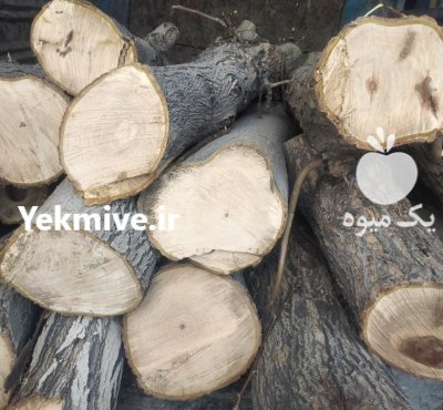 خرید چوب درخت در اراک در گروه خرید فروش عمده چوب- زغال چوب گردو تبریزی خام در یکمیوه