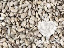 فروش دانه های روغنی در تهران در گروه انواع روغن - آفتابگردان کنجد سویا در یکمیوه -عکس1