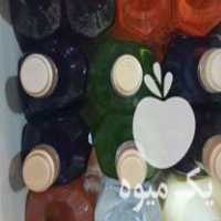 فروش روغن آرگان  ،  درخت چای  ،  جوجوبا  ،  آووکادو  ،  مورینگا  ،  شی باتر در تهران در گروه خرید فروش عمده میوه استوایی - پاپایا قرمز منگوستین گواوا بلوبری در یکمیوه