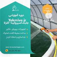 فروش دوره آموزشی تکثیر و پرورش میکروجلبک در تهران در گروه مشاوره - راه اندازی بازاریابی کسب درآمد بهبود کسب و کار در یکمیوه