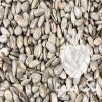 فروش دانه های روغنی در تهران در گروه انواع روغن - آفتابگردان کنجد سویا در یکمیوه