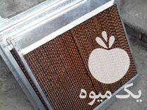 فروش پدسلولزی برای خنک کاری مناسب مرغداری گلخانه سالن ورزشی ماینر در هشتگرد در گروه خرید فروش عمده انواع گل - پروش قاشقی موسی ساکولنت بن سای در یکمیوه -عکس1