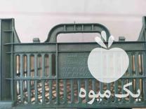 فروش انواع سبد میوه در مراغه در گروه خرید فروش انواع سبد - میوه پلاستیکی چوبی گل در یکمیوه -عکس1