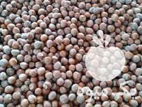 فروش فندق گیلان در تهران در گروه فندق - فروش عمده محصولات کشاورزی در یکمیوه -عکس1