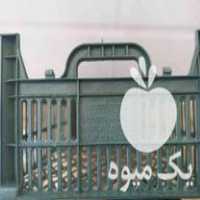 فروش انواع سبد میوه در مراغه در گروه خرید فروش انواع سبد - میوه پلاستیکی چوبی گل در یکمیوه