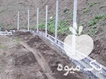 فروش فنس و پایه فنس بتنی تیرک برای دور باغ در رشت در گروه خرید فروش عمده کیوی - صادراتی مازندران تنکابن تالش در یکمیوه -عکس1