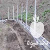 فروش فنس و پایه فنس بتنی تیرک برای دور باغ در رشت در گروه خرید فروش عمده کیوی - صادراتی مازندران تنکابن تالش در یکمیوه