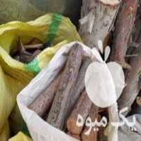 فروش هیزم و چوب خشک در تهران در گروه خرید فروش عمده چوب- زغال چوب گردو تبریزی خام در یکمیوه