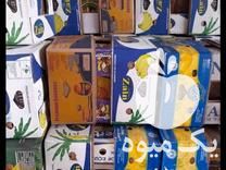 فروش کارتن موز شبانه روزی کارتن اسباب کشی است بزرگ ارسال ارسال در تهران در گروه خرید فروش انواع بسته بندی کاغذی - کارتن مقوا در یکمیوه -عکس1