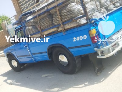 تفاله چغندر در انار در گروه خوراک دام و طیور - پرواری شیری علوفه یونجه در یکمیوه