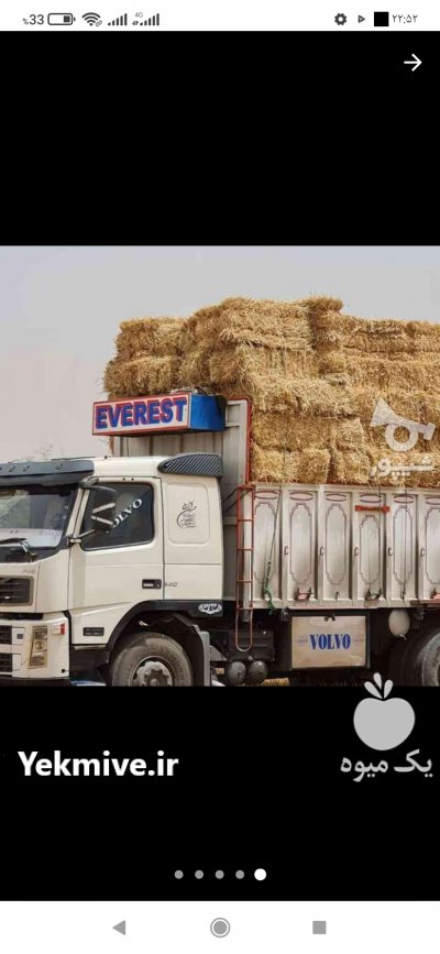 پخش عمده و خرده کاه نیشکر در مهریز در گروه خوراک دام و طیور - پرواری شیری علوفه یونجه در یکمیوه