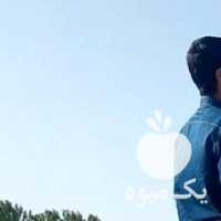 فروش اسب عرب دره شوری در اصفهان در گروه اسب و الاغ خر و فروش قاطر- ترکمن عربی سفید نر و ماده در یکمیوه