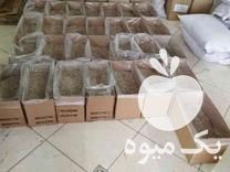 فروش کارتن خام با ابعاد 42 ×22×20 در اصفهان در گروه خرید فروش عمده چوب- زغال چوب گردو تبریزی خام در یکمیوه -عکس1