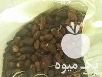 فروش غذای دام ضایعات خرما نان خشک در بندرعباس در گروه خرید فروش عمده خرما - کبکاب تازه زاهدی خشک خارک در یکمیوه -عکس1