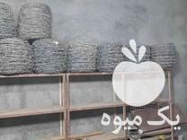 فروش سیم خارداد در اصفهان در گروه اسب و الاغ خر و فروش قاطر- ترکمن عربی سفید نر و ماده در یکمیوه -عکس1