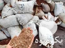 خریدپودرهسته خرما در اهواز در گروه خرید فروش عمده خرما - کبکاب تازه زاهدی خشک خارک در یکمیوه -عکس1