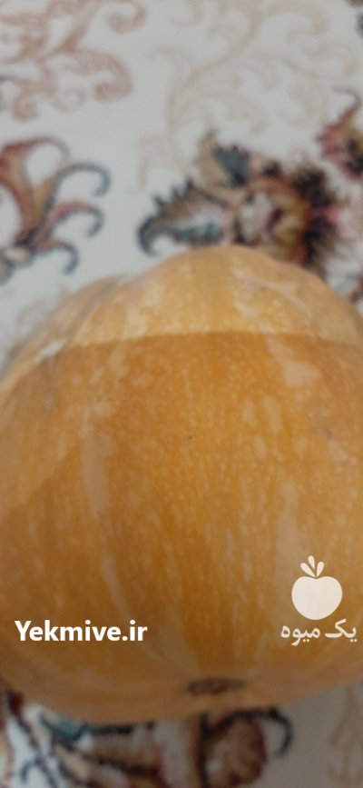 آگهی مشابه فروش کدو حلوایی کدو در ورامین در گروه خرید فروش عمده کدو تنبل - حلوایی سبز سفید نارنجی در یکمیوه